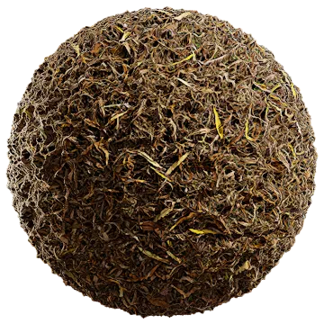 dried leaves and grass 003 — Скачать