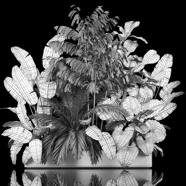 A collection of plants for a home garden with thickets and bushes, palm, strelitzia, flowerbed, flowerpot, ficus lirata. 1114. — Descargar