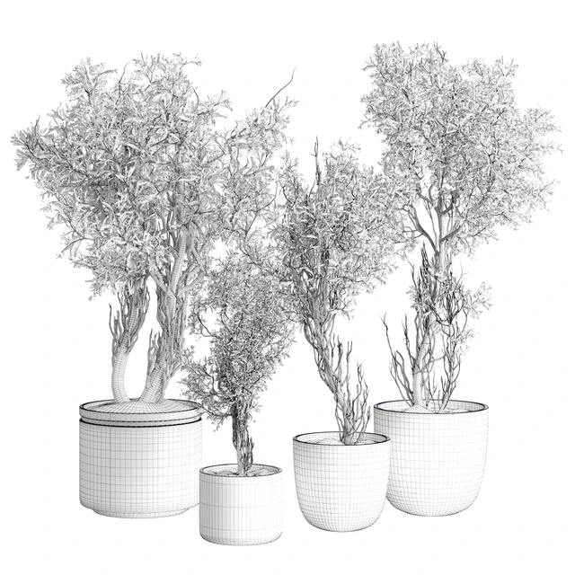 Outdoor Plant 207 — Descargar