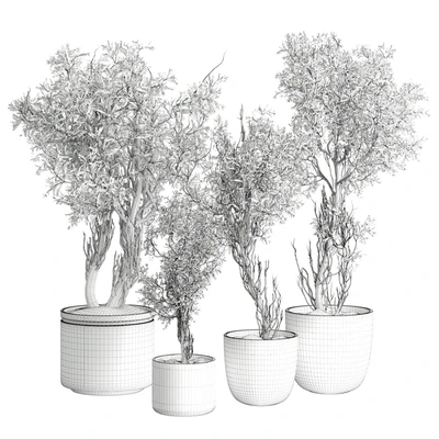 Outdoor Plant 207 — Ver 6