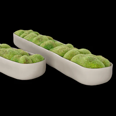Rh organic sculpted trough — Ver 5