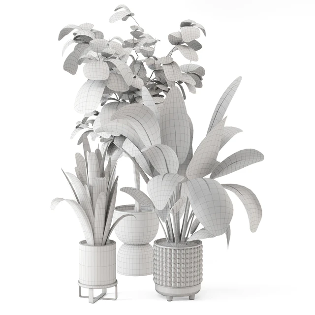 Indoor Plants in Ferm Living Bau Pot Large - Set 1044 — Descargar