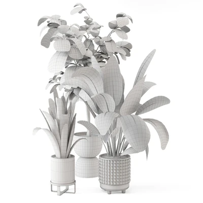 Indoor Plants in Ferm Living Bau Pot Large - Set 1044 — Ver 6