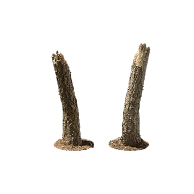 broken tree trunk 003 — Скачать