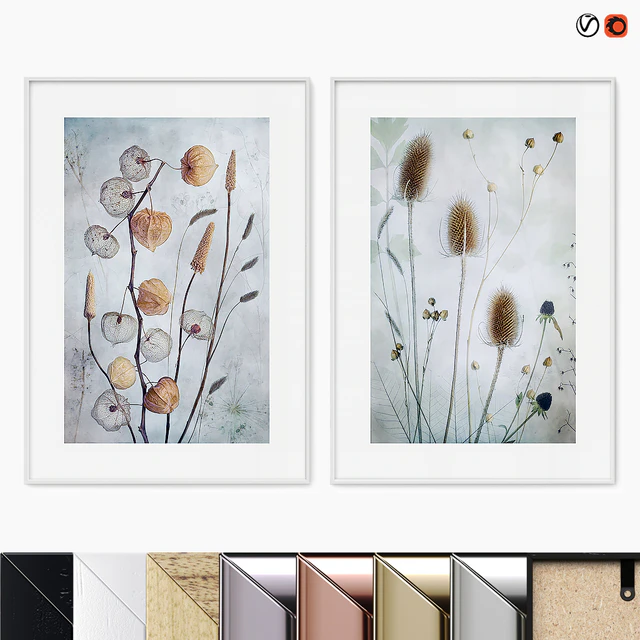 Poster Set "Physalis With Teasel" — Descargar