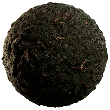 dried leaves 015 — Descargar