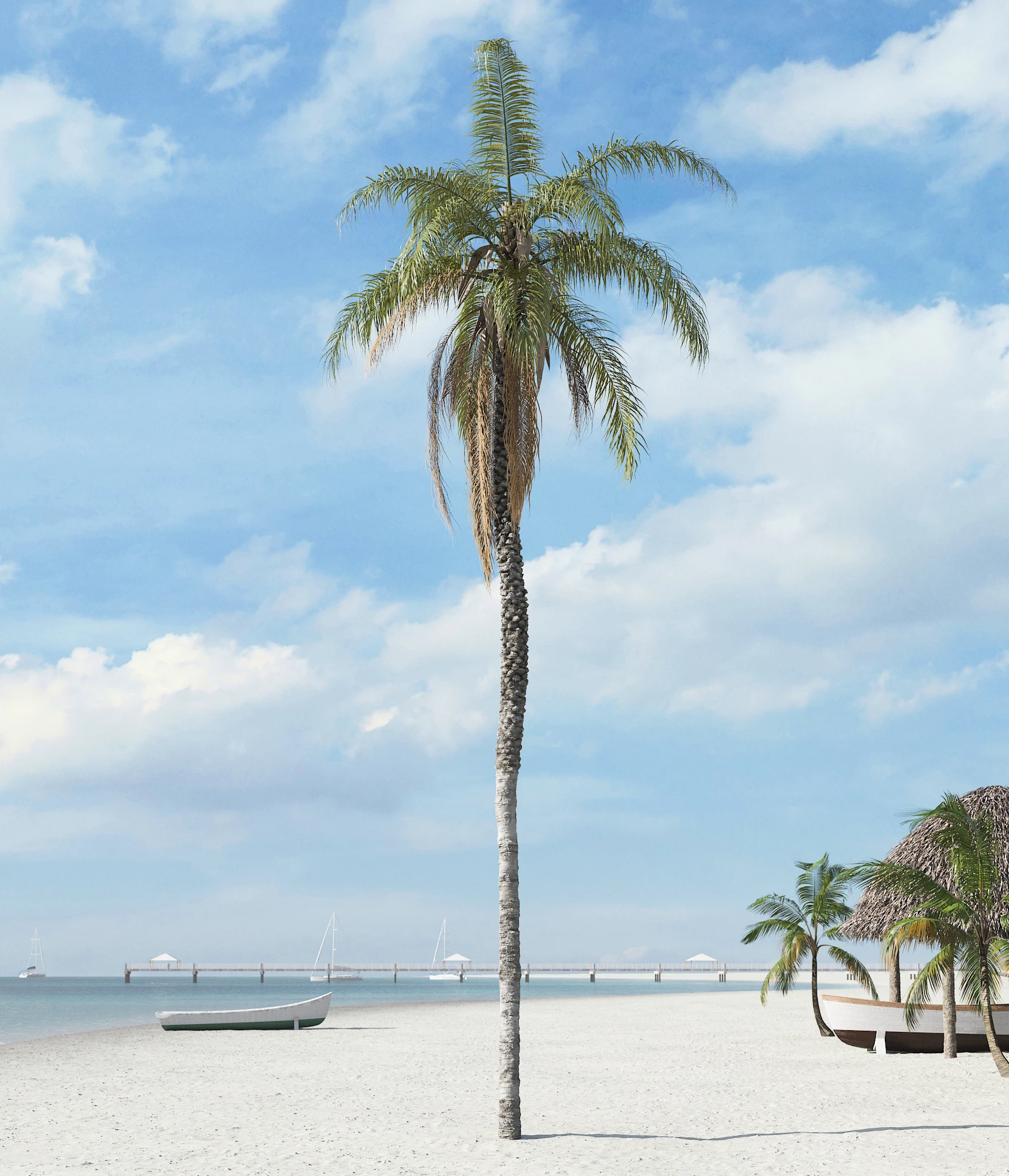 palm trees 025 — Descargar