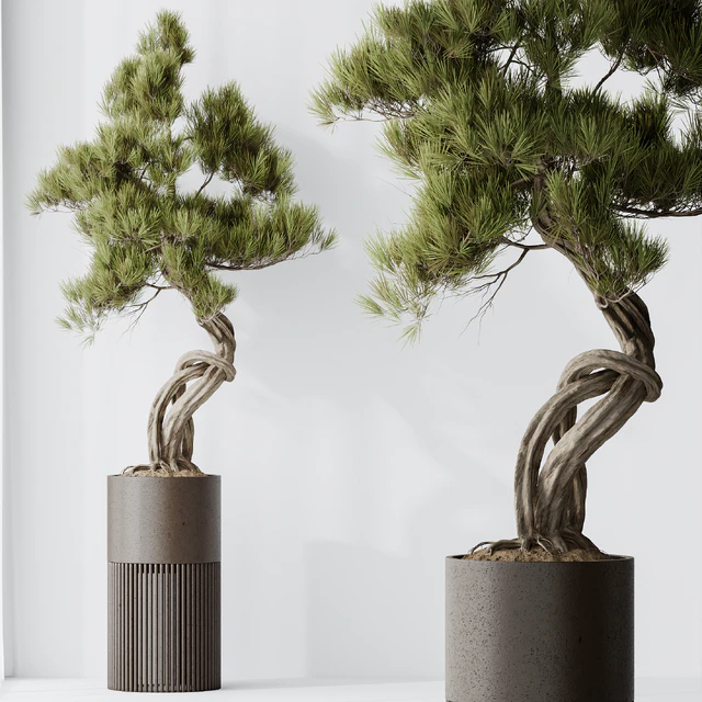 Indoor plant set 23 — Descargar