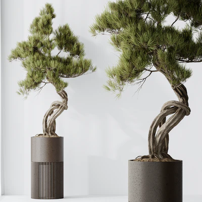 Indoor plant set 23 — Ver 7
