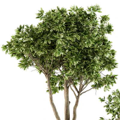 Outdoor Plants Tree in pot - Set 94 — Ver 4