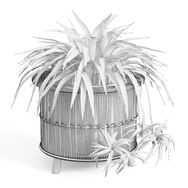 Maiki Woven Planters — Скачать