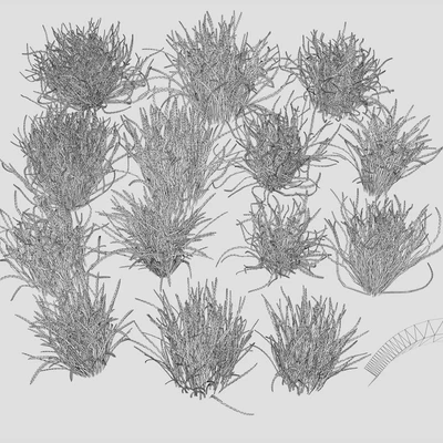 Forest Grass 3 — Вид 7