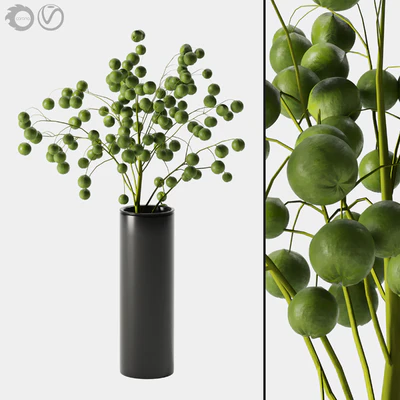 plant indoor 05 — Ver 1