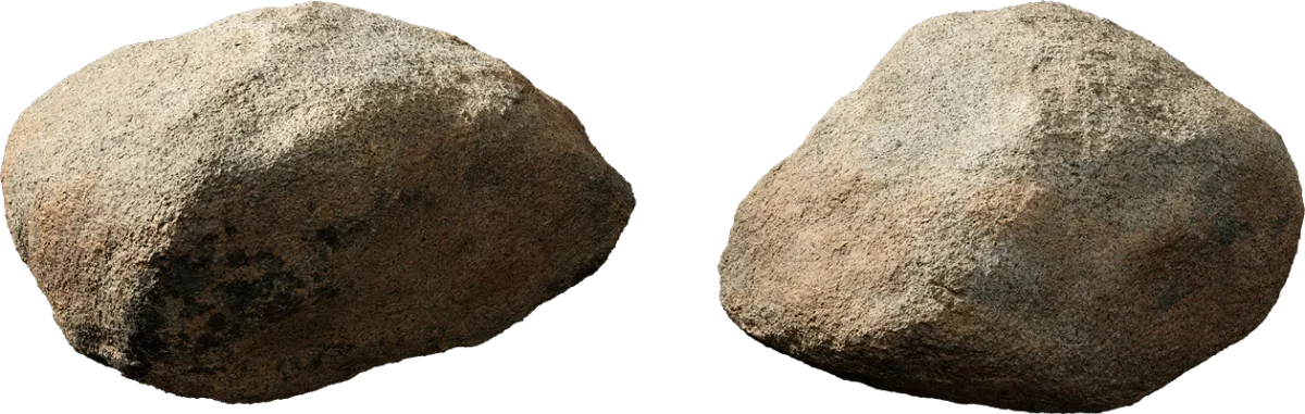 lichened forest boulder 001 — Скачать