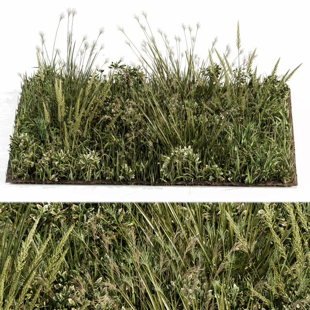 Wild Grass Green - Grass Set 03 — Descargar