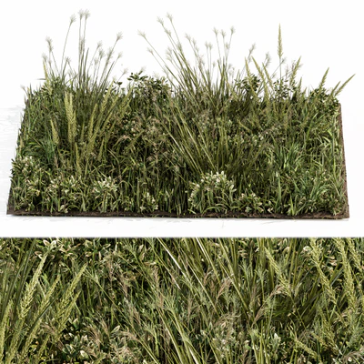 Wild Grass Green - Grass Set 03 — Ver 4