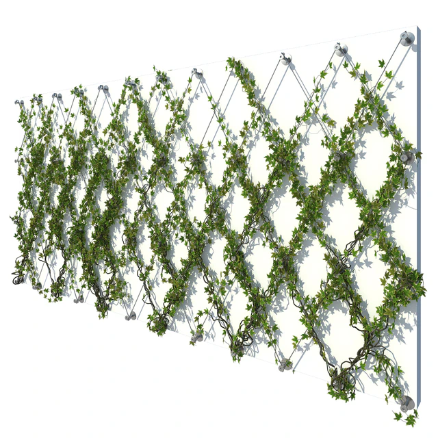 Ivy Wall 10 — Descargar