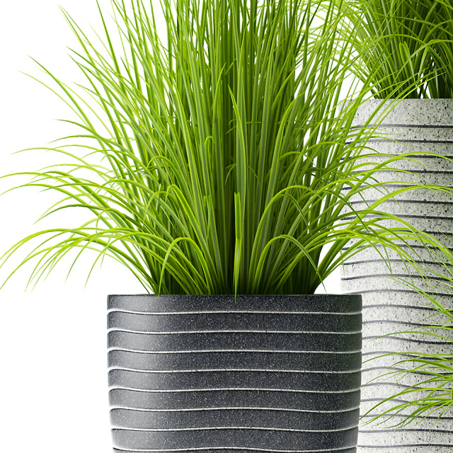 PLANTS 46 — Descargar
