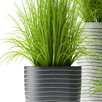 PLANTS 46 — Ver 2