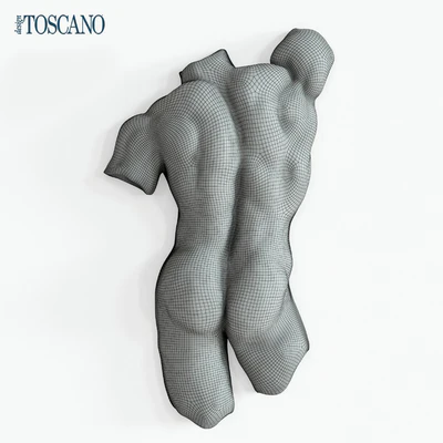 Nude Torso Wall Sculptures — Вид 2