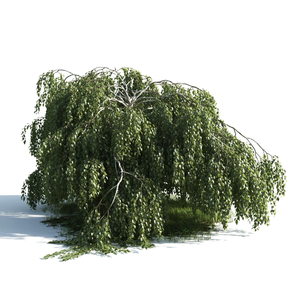 trees 007 — Скачать