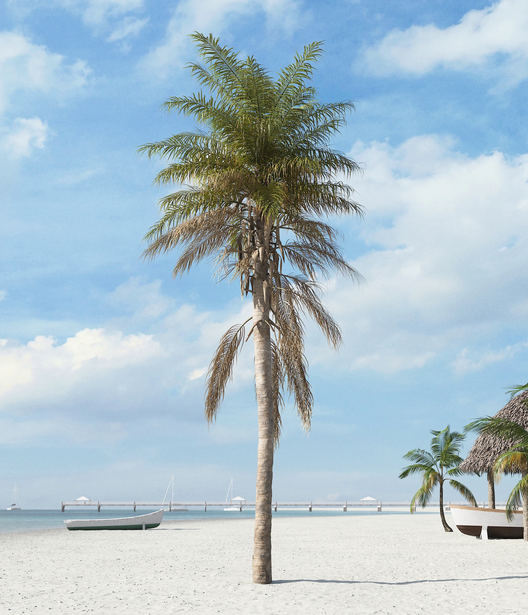palm trees 024 — Descargar