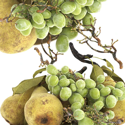 bowl of pearls and grapes — Ver 5