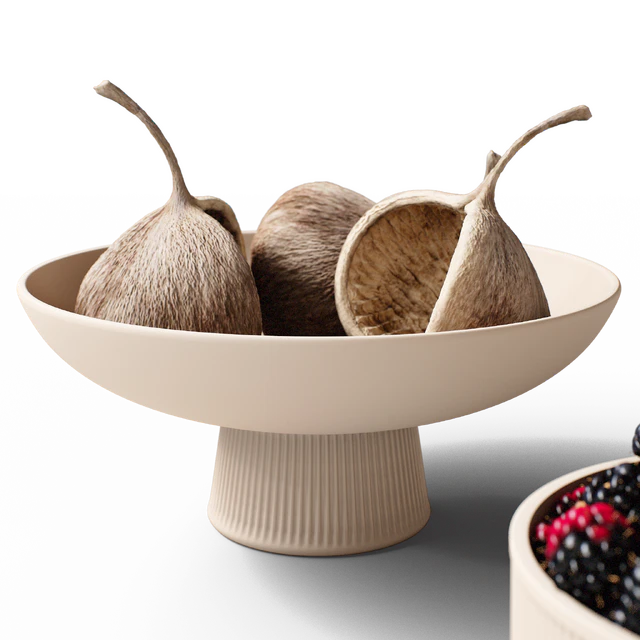Decorative set 77 Blackberry and brunia — Descargar