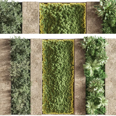 Concrete and Vertical Garden 02 — Вид 1