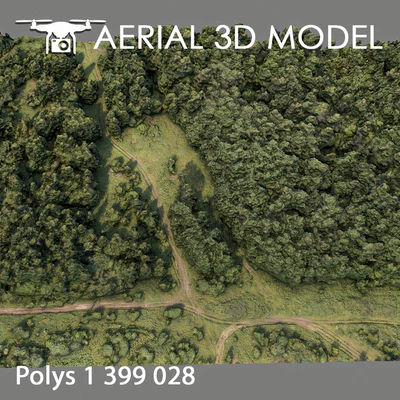 Forest 74 — Ver 5
