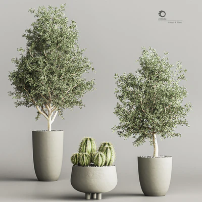 cactus & plant vol 03 — Ver 6