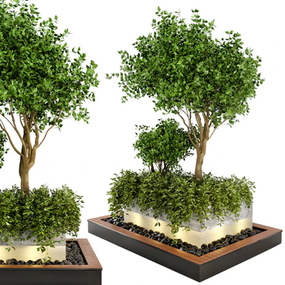 Outdoor Plants bush & Tree Combination of wood & concrete Pot - Garden Set 44 — View 4