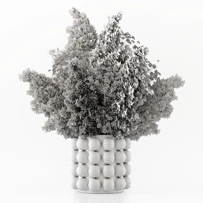 Pampas In A Bubble Pot — Ver 4