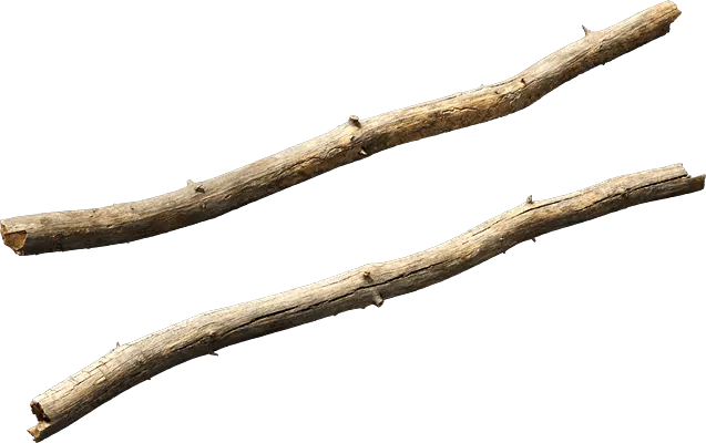 dead pine branch 001 — Скачать
