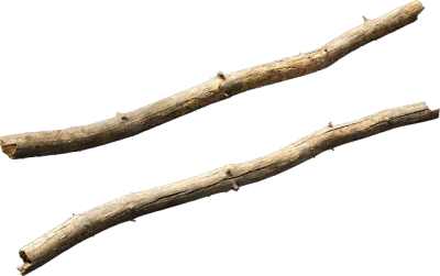 dead pine branch 001 — Скачать