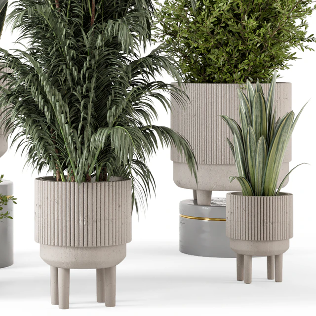 Indoor Plants in Standing Legs Small Bowl Concrete Pot - Set 788 — Descargar