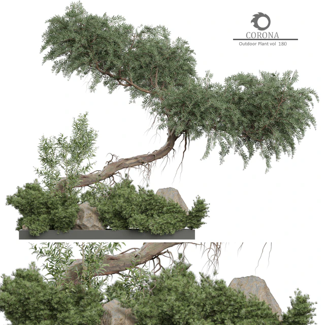 Outdoor Plant 180 — Descargar