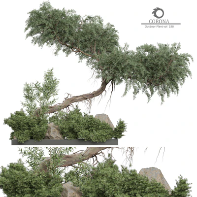 Outdoor Plant 180 — Ver 1