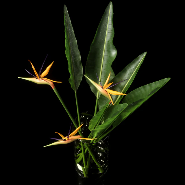 decorative vase 13 — Descargar