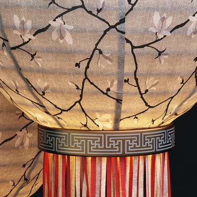 Chinese lantern Chinese lantern 2 — Ver 3