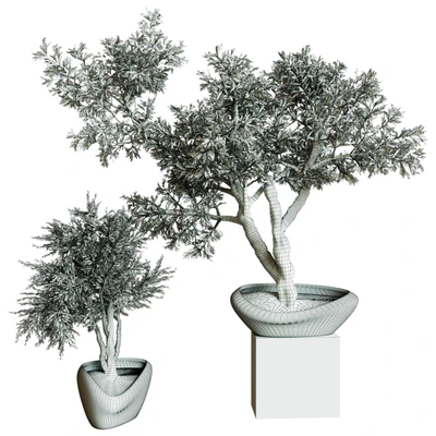 Collection Indoor Plant 72 — Вид 4