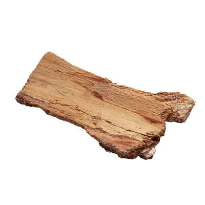 birch bark piece 003 — Descargar
