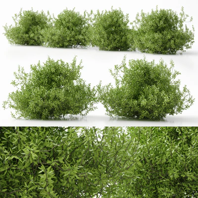 plant 11 — Скачать