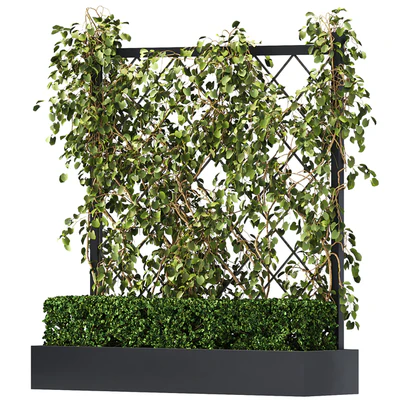 Vertical Garden - Planter with trellis — Вид 4