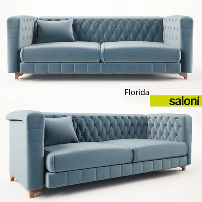 SALONI / FLORIDA — Descargar