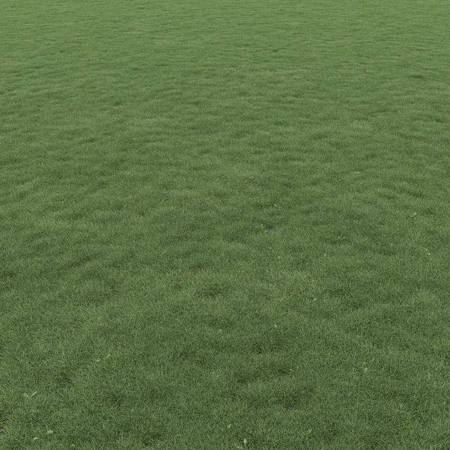 Lawn Grass 01 — Descargar