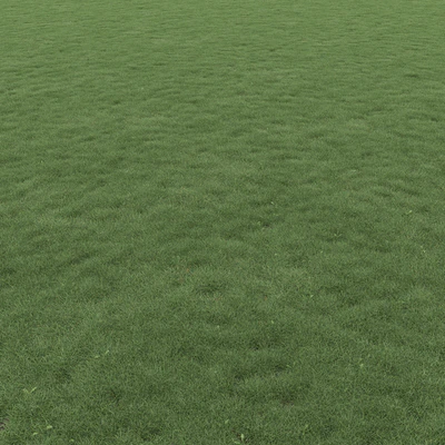 Lawn Grass 01 — Ver 7