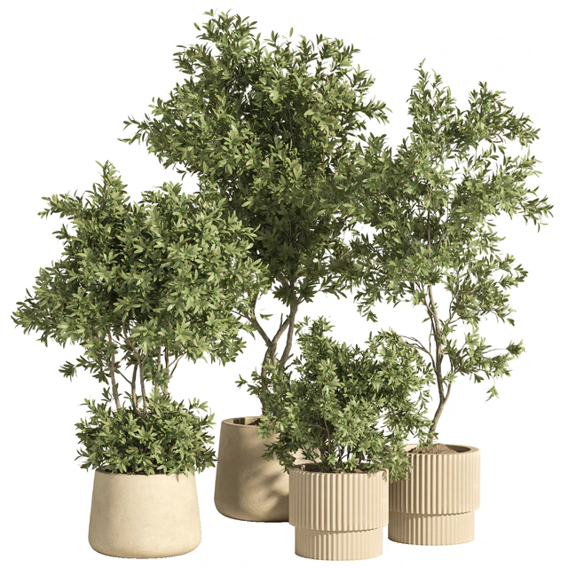 indoor plant set 74 — Descargar