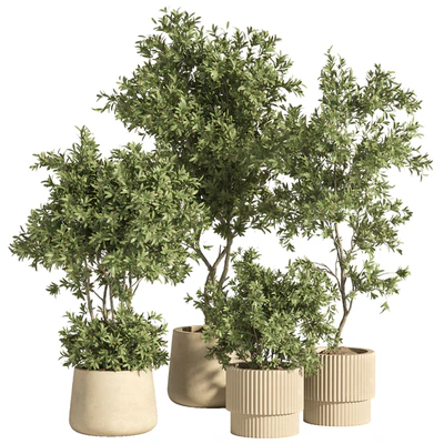 indoor plant set 74 — Ver 1