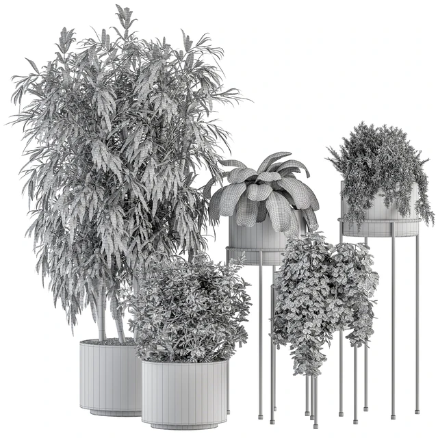 indoor Plant Set 355- Tree and Plant Set in Black pot — Скачать
